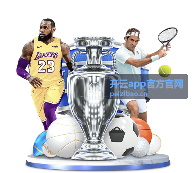 开云app官方官网版本检测服务图示